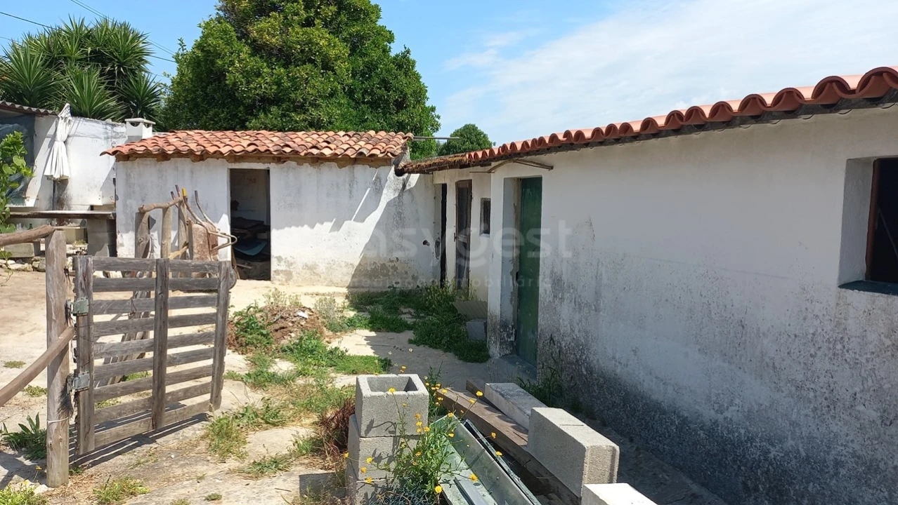 Moradia T2 para Venda em Achete, Azoia de Baixo e Póvoa de Santarém Foto 14