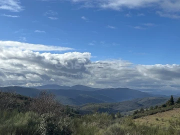 Moradia T4 para Venda em Castelo Branco