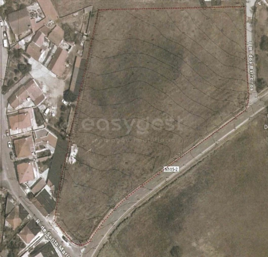 Terreno para Venda em Santa Maria, São Pedro e Matacães Foto 12