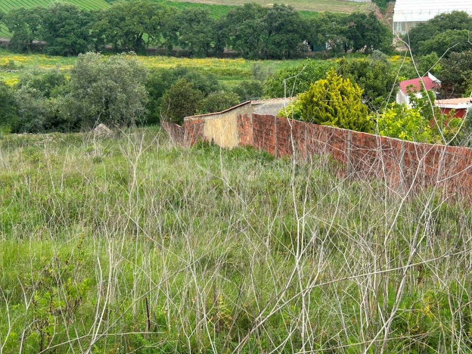 Terreno para Venda em Almargem do Bispo, Pêro Pinheiro e Montelavar Foto 7
