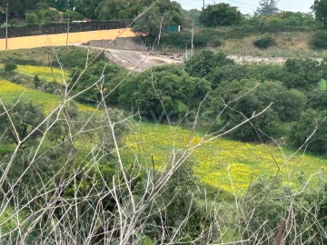 Terreno para Venda em Almargem do Bispo, Pêro Pinheiro e Montelavar