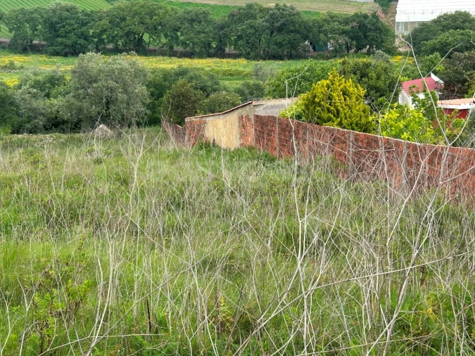 Terreno para Venda em Almargem do Bispo, Pêro Pinheiro e Montelavar Foto 7