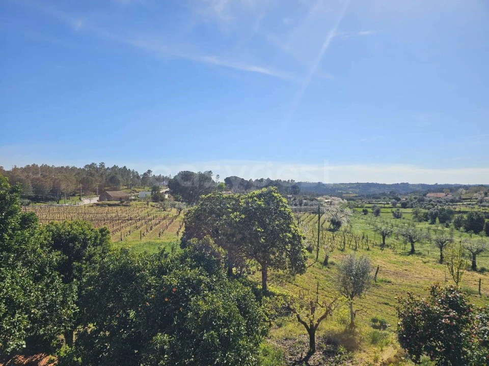 Moradia T3 para Venda em Moimenta de Maceira Dão e Lobelhe do Mato Foto 14