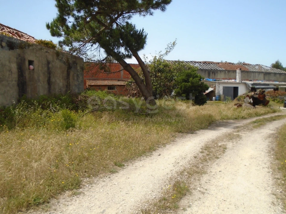 Terreno para Venda em Pataias e Martingança Foto 5