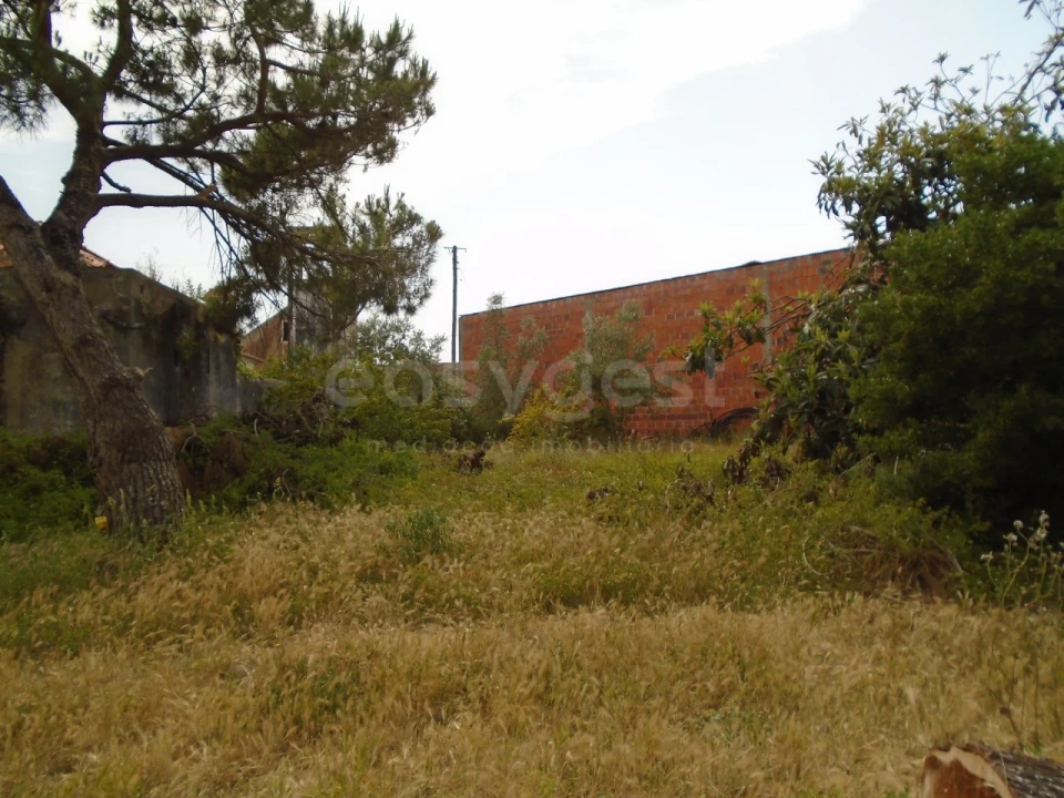 Terreno para Venda em Pataias e Martingança Foto 6