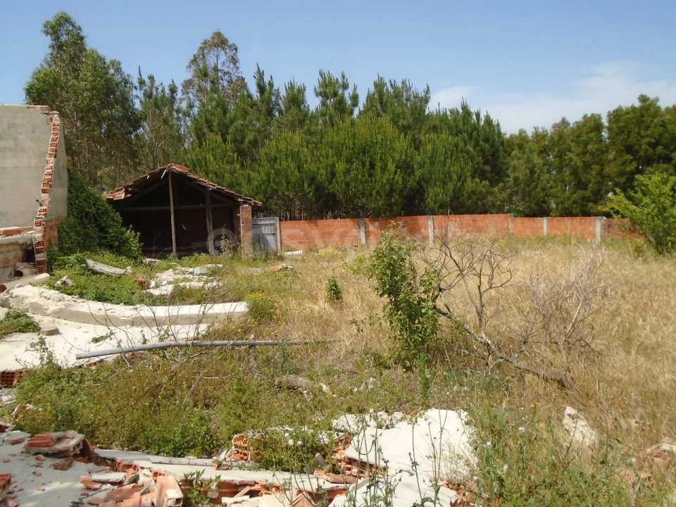 Terreno para Venda em Pataias e Martingança Foto 14