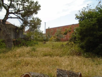 Terreno para Venda em Pataias e Martingança