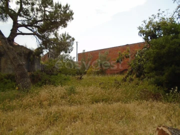 Terreno para Venda em Pataias e Martingança