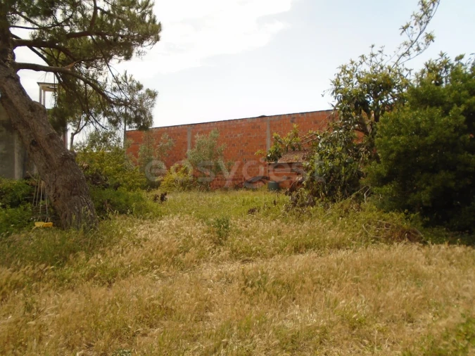 Terreno para Venda em Pataias e Martingança Foto 3