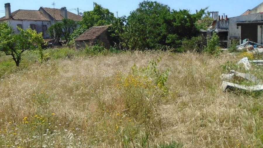 Terreno para Venda em Pataias e Martingança