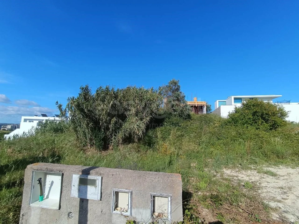 Terreno para Venda em Torres Novas (Santa Maria, Salvador e Santiago) Foto 3