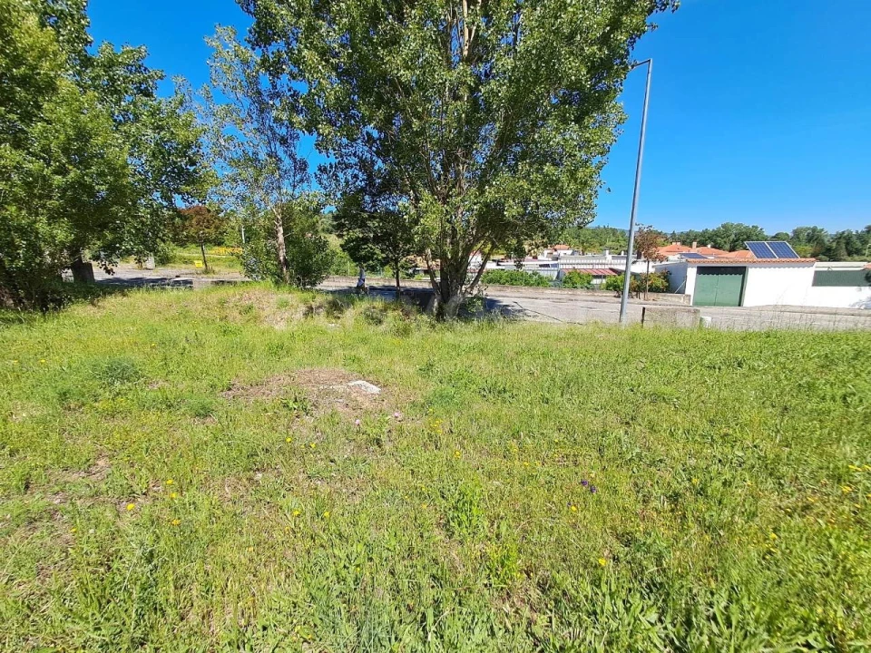 Terreno para Venda em Torres Novas (Santa Maria, Salvador e Santiago) Foto 2