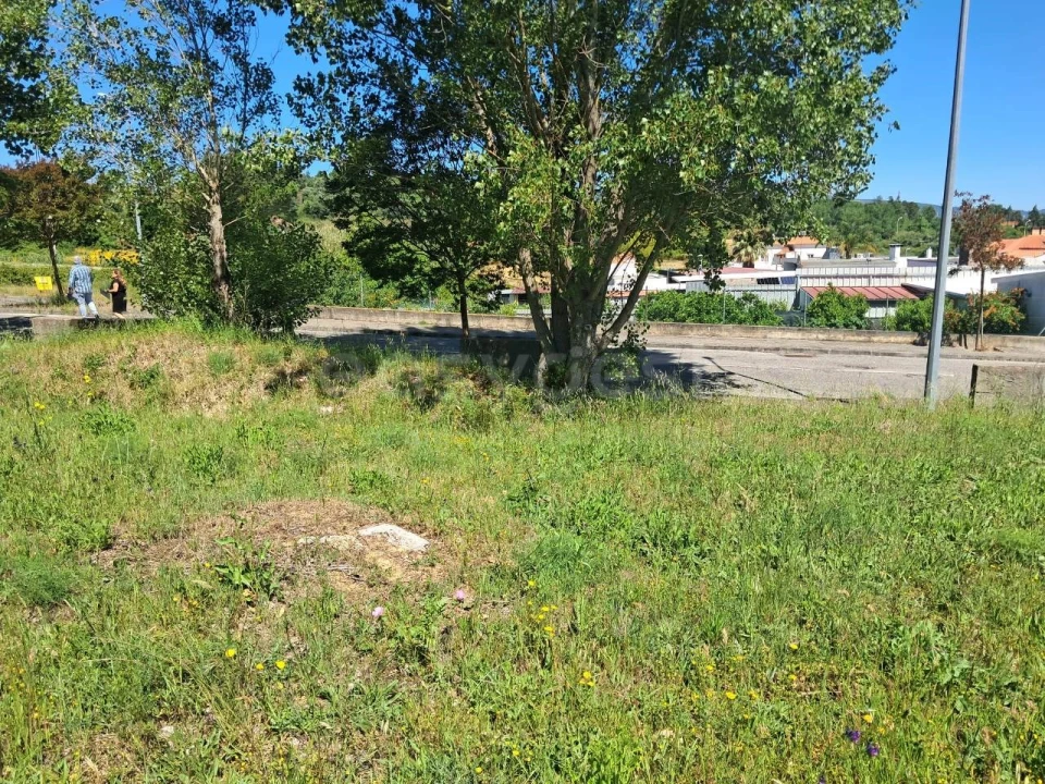 Terreno para Venda em Torres Novas (Santa Maria, Salvador e Santiago) Foto 3