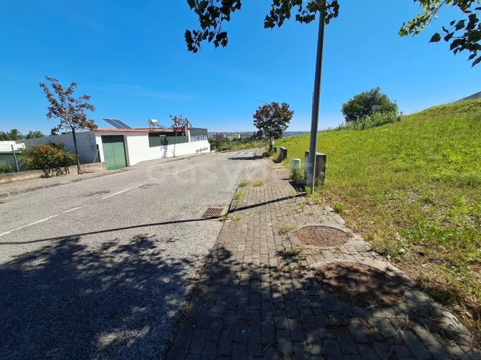 Terreno para Venda em Torres Novas (Santa Maria, Salvador e Santiago) Foto 6