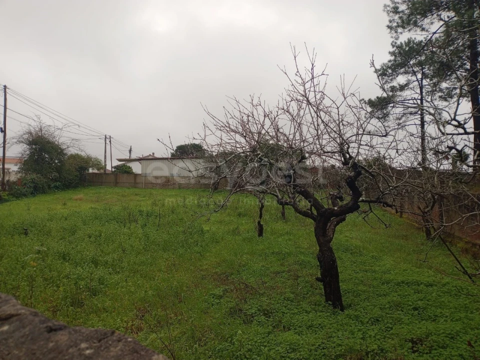 Terreno para Venda em Pataias e Martingança Foto 1