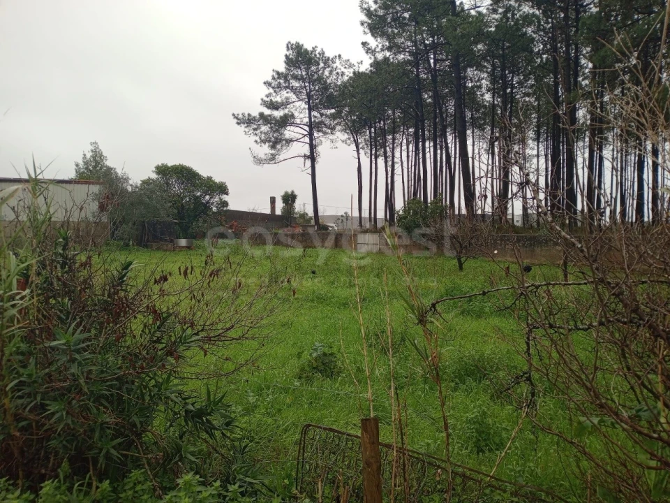 Terreno para Venda em Pataias e Martingança Foto 3
