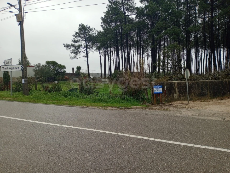 Terreno para Venda em Pataias e Martingança Foto 5