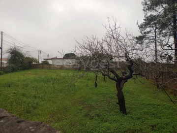 Terreno para Venda em Pataias e Martingança