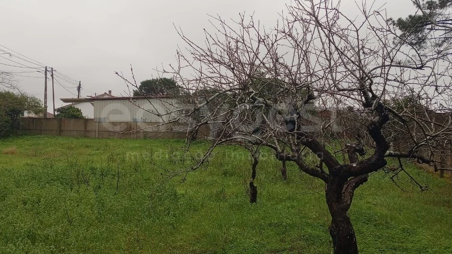 Terreno para Venda em Pataias e Martingança