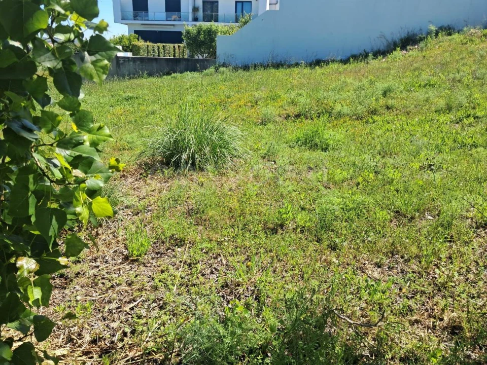 Terreno para Venda em Torres Novas (Santa Maria, Salvador e Santiago) Foto 3