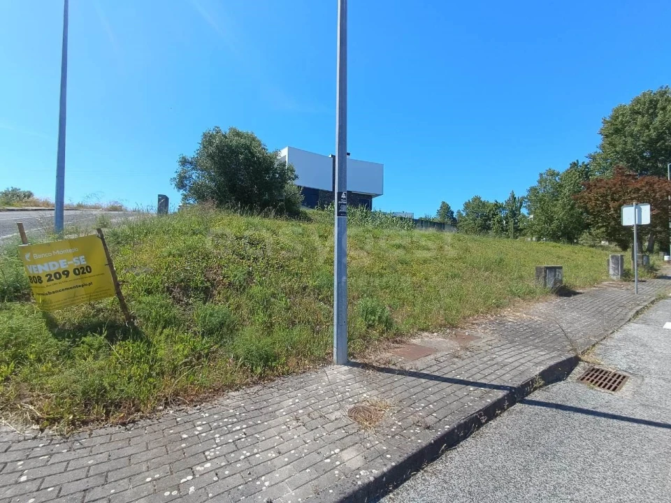 Terreno para Venda em Torres Novas (Santa Maria, Salvador e Santiago) Foto 8