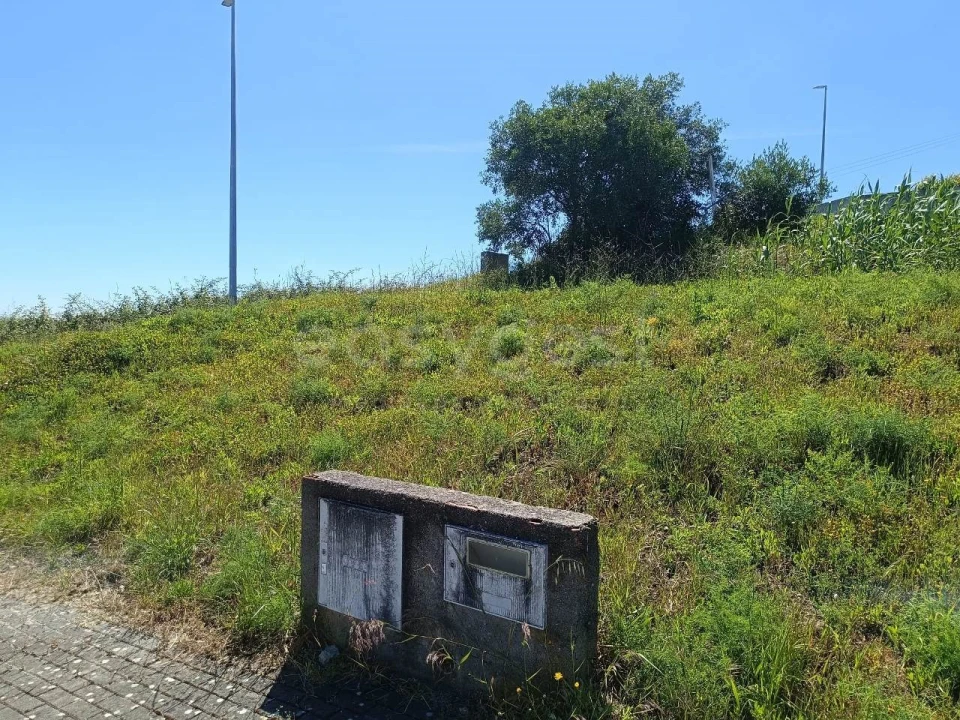 Terreno para Venda em Torres Novas (Santa Maria, Salvador e Santiago) Foto 10