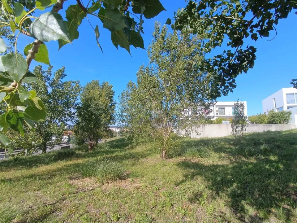 Terreno para Venda em Torres Novas (Santa Maria, Salvador e Santiago) Foto 4