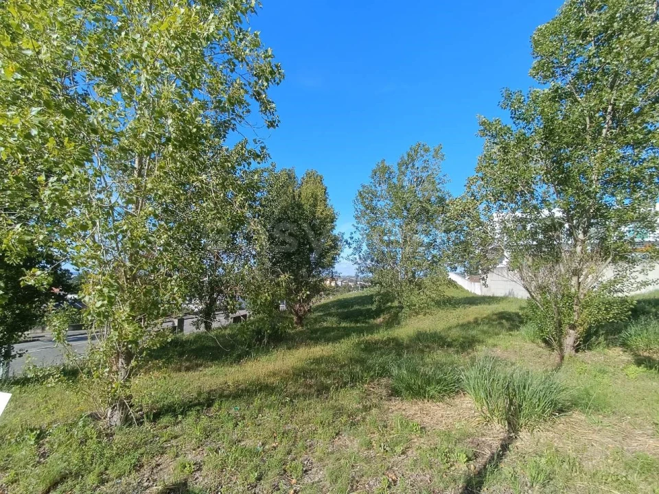 Terreno para Venda em Torres Novas (Santa Maria, Salvador e Santiago) Foto 5