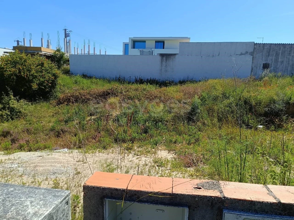 Terreno para Venda em Torres Novas (Santa Maria, Salvador e Santiago) Foto 1