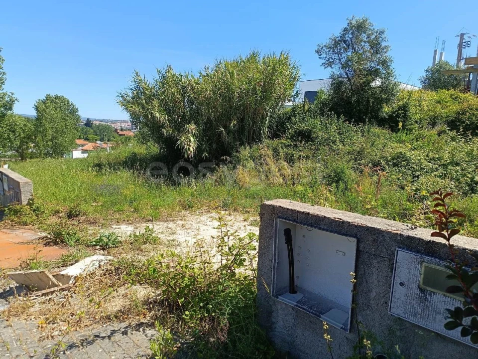 Terreno para Venda em Torres Novas (Santa Maria, Salvador e Santiago) Foto 9