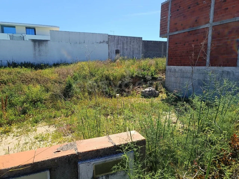 Terreno para Venda em Torres Novas (Santa Maria, Salvador e Santiago) Foto 10