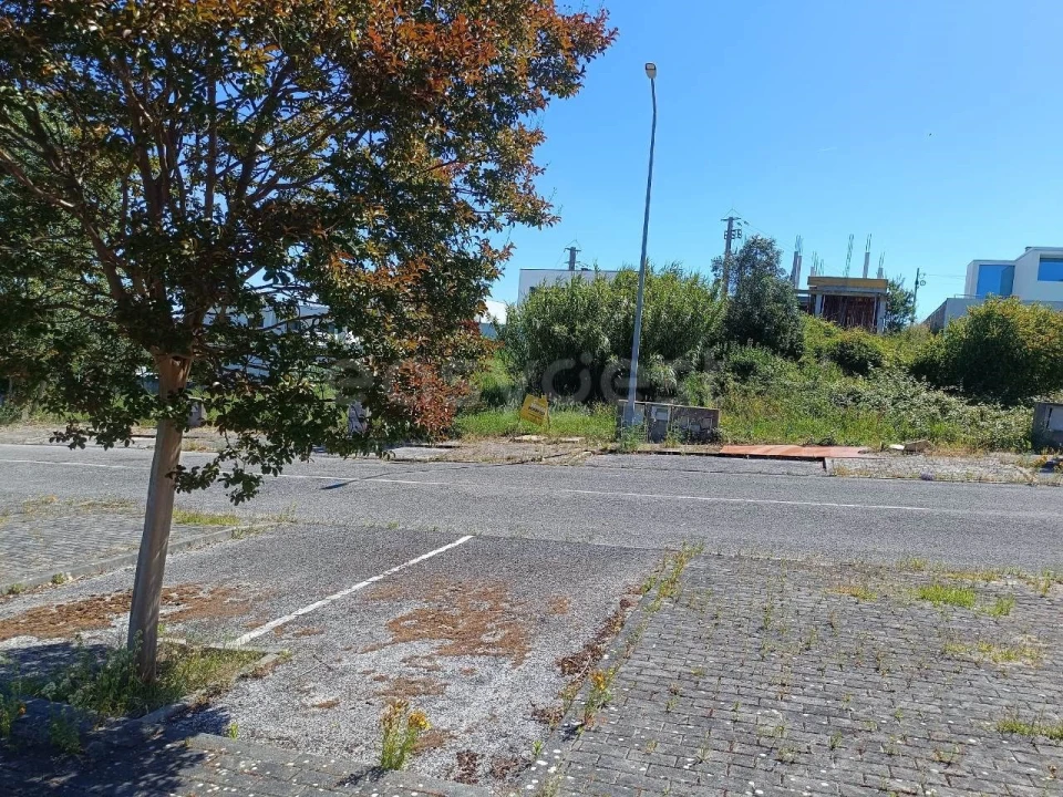 Terreno para Venda em Torres Novas (Santa Maria, Salvador e Santiago) Foto 12