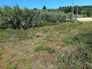 Terreno para Venda em Torres Novas (Santa Maria, Salvador e Santiago)
