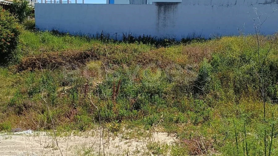 Terreno para Venda em Torres Novas (Santa Maria, Salvador e Santiago)