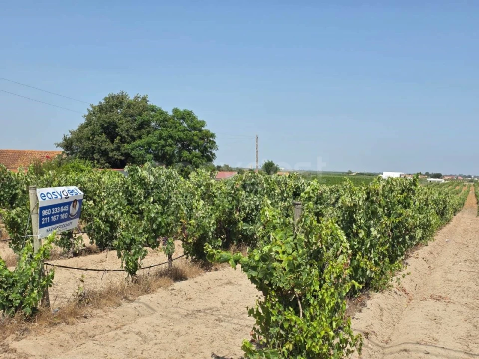 Terreno Agricola ou Rústico para Venda em Palmela Foto 1