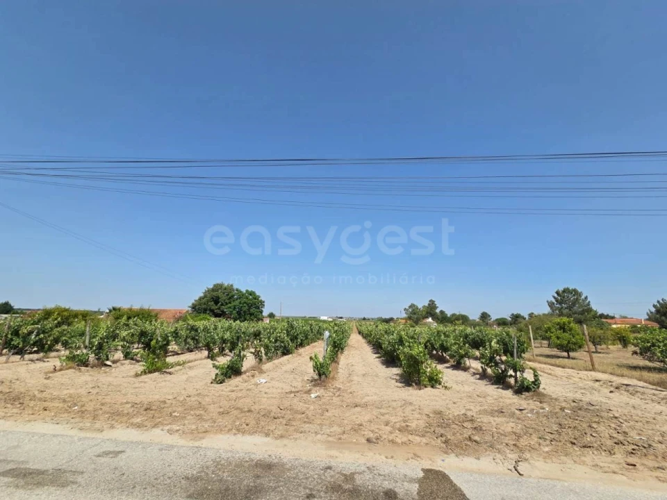 Terreno Agricola ou Rústico para Venda em Palmela Foto 2