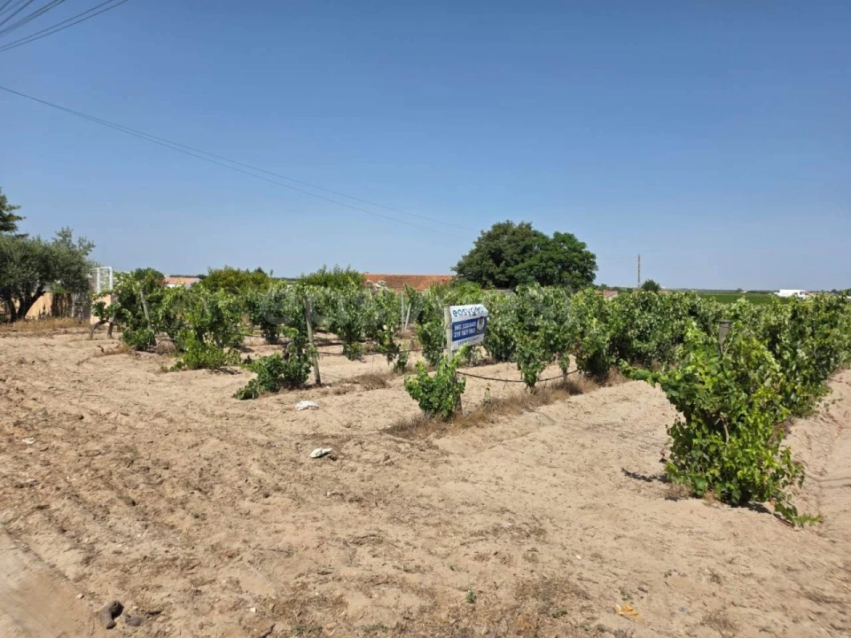 Terreno Agricola ou Rústico para Venda em Palmela Foto 3