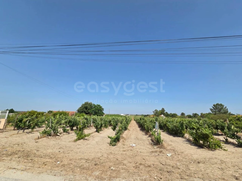 Terreno Agricola ou Rústico para Venda em Palmela Foto 4