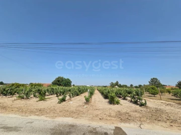 Terreno Agricola ou Rústico para Venda em Palmela