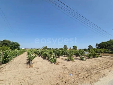 Terreno Agricola ou Rústico para Venda em Palmela