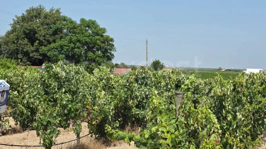 Terreno Agricola ou Rústico para Venda em Palmela