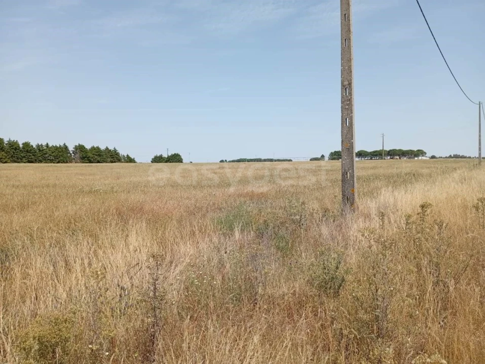 Terreno Agricola ou Rústico para Venda em Pegões Foto 1