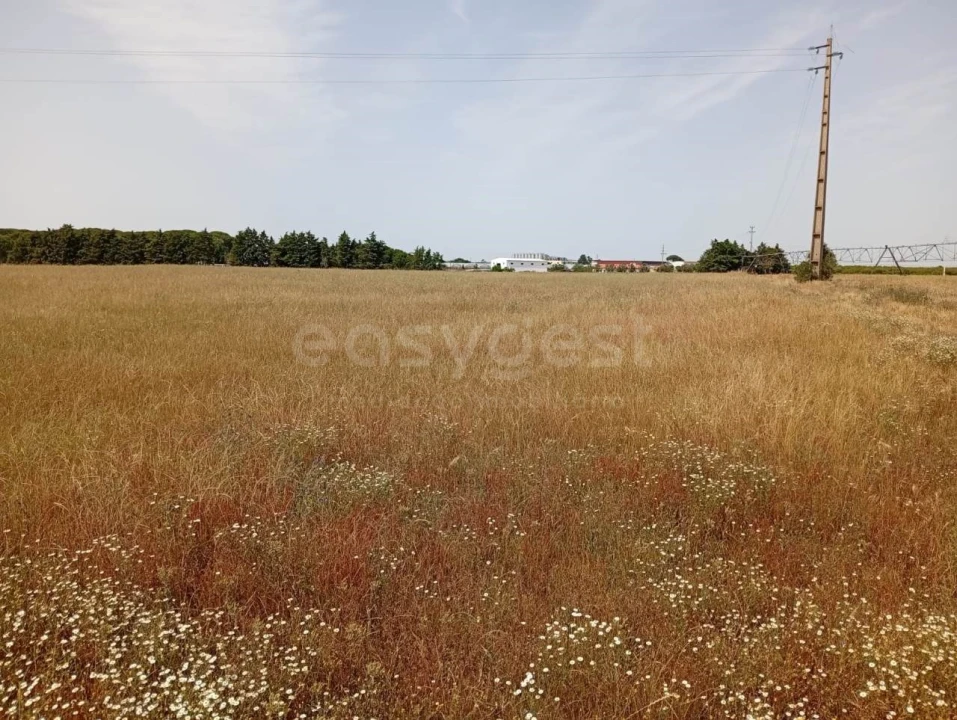 Terreno Agricola ou Rústico para Venda em Pegões Foto 3