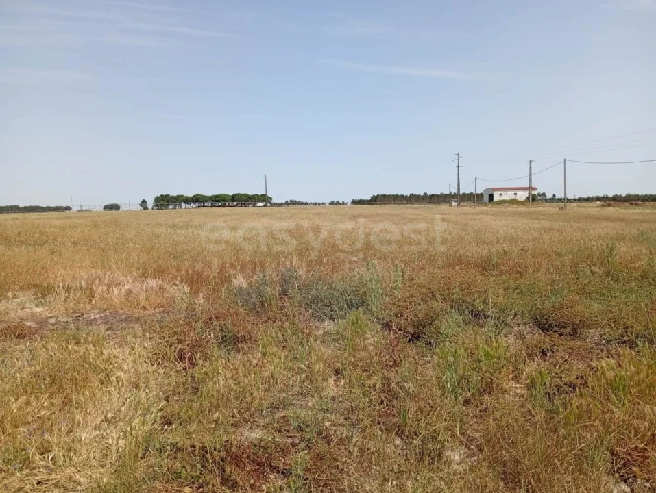 Terreno Agricola ou Rústico para Venda em Pegões Foto 5