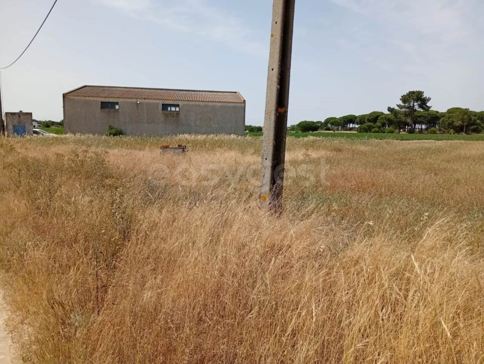Terreno Agricola ou Rústico para Venda em Pegões Foto 6