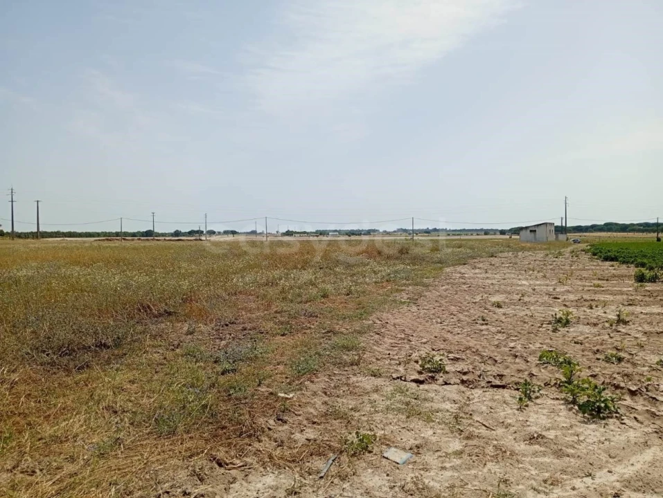 Terreno Agricola ou Rústico para Venda em Pegões Foto 7
