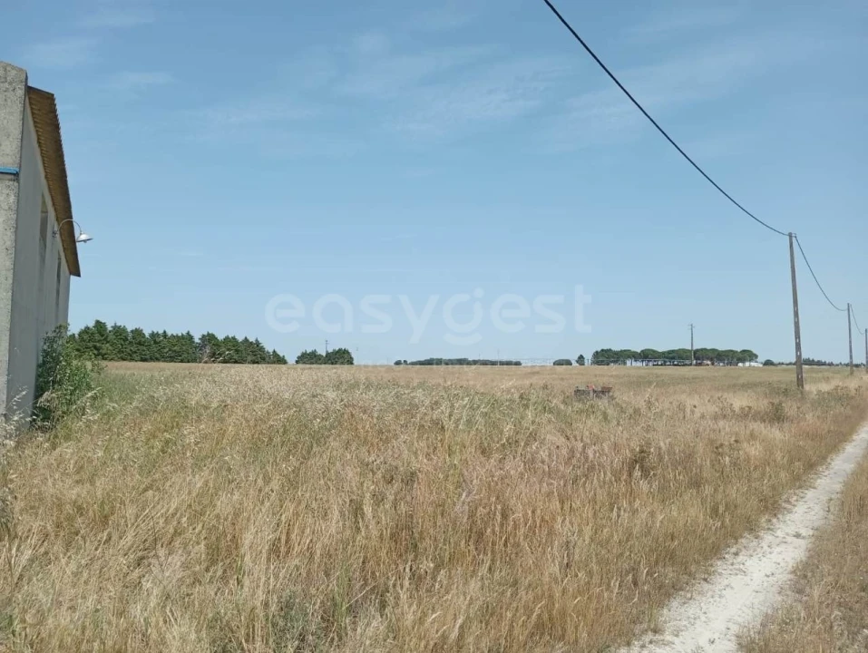 Terreno Agricola ou Rústico para Venda em Pegões Foto 9