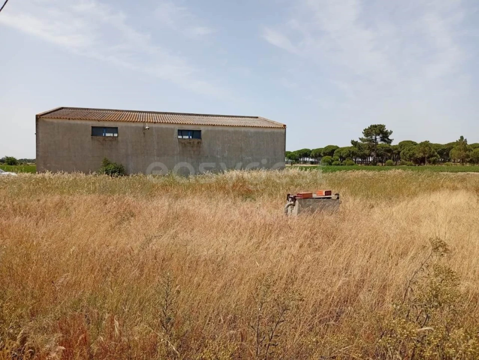 Terreno Agricola ou Rústico para Venda em Pegões Foto 10