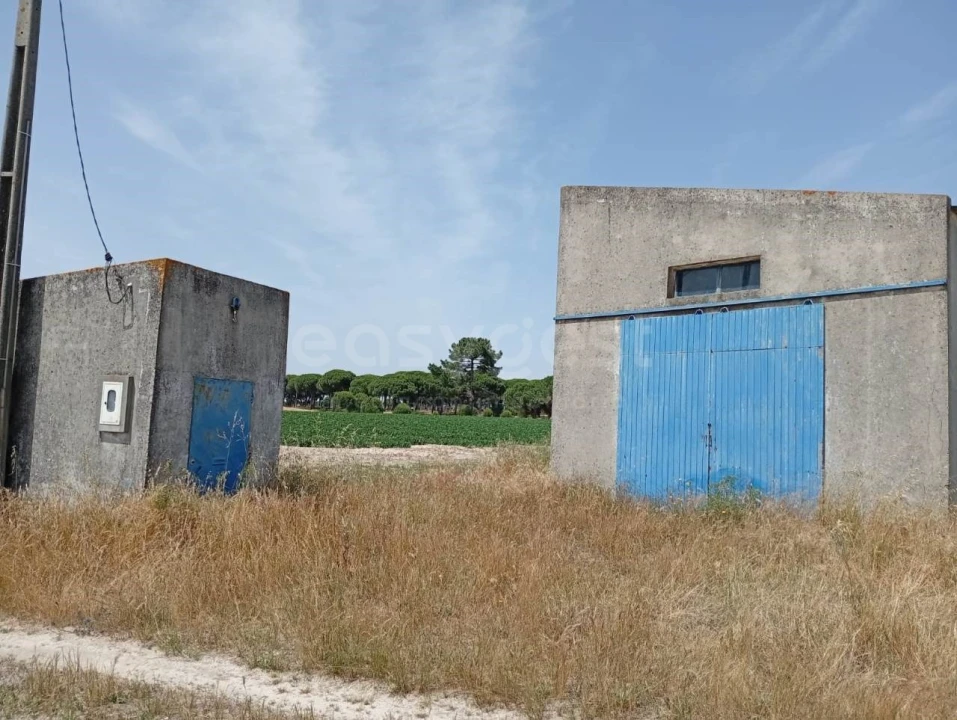 Terreno Agricola ou Rústico para Venda em Pegões Foto 11