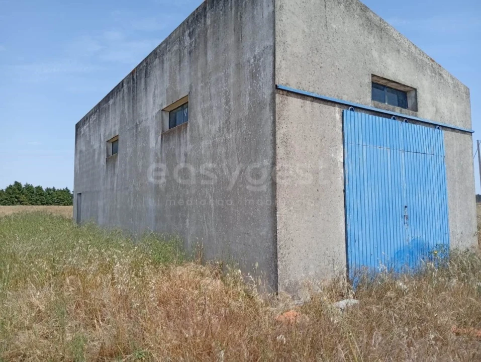Terreno Agricola ou Rústico para Venda em Pegões Foto 12
